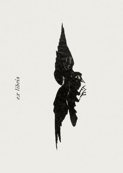 Flying Raven