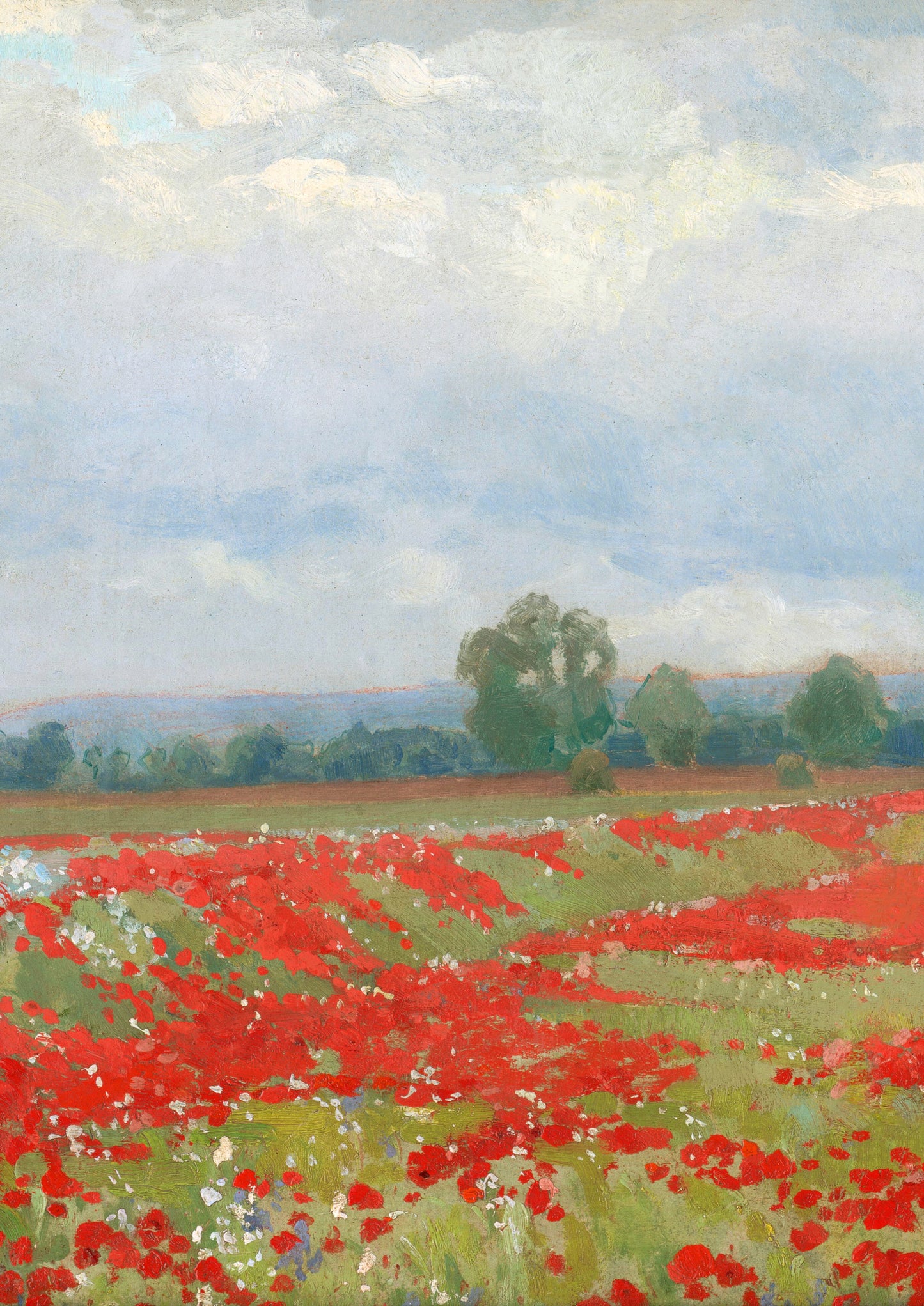 Poppy Field